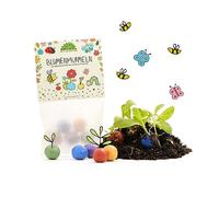 Set di 10 x 5 biglie di fiori colorati - regali sostenibili per compleanni bambini - idea regalo per Kita, scuola & colleghi - Seedbombs come bomboniera ringraziamento & regalo di addio