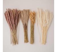 Set di 100 erba di pampa essiccata - 50 cm fiori secchi come decorazione da tavolo boho