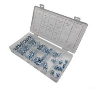 Set di 110 ingrassatori M6 M8 M10 in ferro nichelato, con nippli dritti e angolati, per manutenzione industriale e veicoli