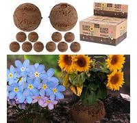 Set di 12 bombe per semi, 2 pezzi, colori assortiti, semi di campo, girasoli, semi di fiori