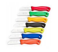 Set di 12 coltelli in acciaio inossidabile
