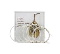 Set di 12 corde per Oud strumento arabo turco | Treble in nylon trasparente, corde in lega di rame placcato argento, tensione moderata, adatta a modelli oud a 12 corde