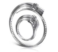 Set di 12 fascette universali per asse CV, fascette stringitubo in acciaio inox, 25-50 mm e 50-120 mm, morsetti regolabili in acciaio inox, morsetti per manicotti per auto