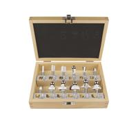 Makita D-53556 punta per incisore 12 pz