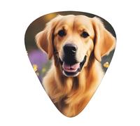 Set di 12 plettri per chitarra, comodi da tenere in mano, con bordi lisci, tre spessori da abbinare a Lovely Golden Dog Picture