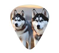 Set di 12 plettri per chitarra, comodi da tenere in mano, con bordi lisci, tre spessori da abbinare al motivo Husky Dog