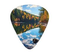 Set di 12 plettri per chitarra, comodi da tenere in mano, con bordi lisci, tre spessori da abbinare al modello Forest Lakes of New Hampshire