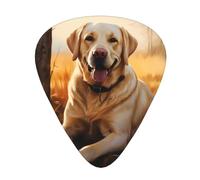 Set di 12 plettri per chitarra, comodi da tenere in mano, con bordi lisci, tre spessori da abbinare alle stampe del cane Labrador Retriever