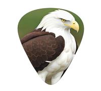 Set di 12 plettri per chitarra, comodi da tenere in mano, con bordi lisci, tre spessori da abbinare alle stampe White Head Eagle