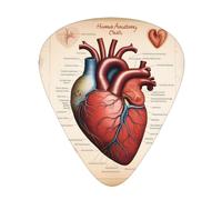 Set di 12 plettri per chitarra, comodi da tenere in mano, con bordi lisci, tre spessori da abbinare alle stampe con grafici a cuore di Human Anatomy