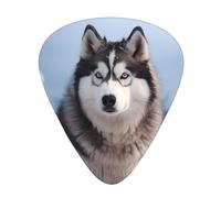 Set di 12 plettri per chitarra, comodi da tenere in mano, con bordi lisci, tre spessori da abbinare all'immagine Siberian Husky