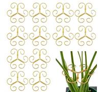 Set di 12 supporti plantari plants plants trellis PlantSupport for Indoor Plants, Upgrade Metal Plant Stabilizer for ClimbingPlants Houseplant, Indoor PlantsAccessories