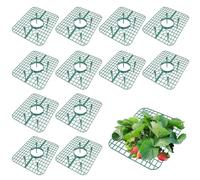 Set di 12 tutor di fragole in plastica, telaio a traliccio rotondo per orto esterno, per proteggere fragole e pomodori maturi, impedire frutti di marcire dopo il contatto con il suolo, supporto per