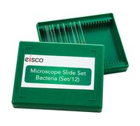 Set Di 12 Vetrini Di Batteri Eisco
