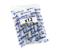 Set di 12 viti con esagono incassato P2R Argento