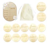 Set di 14 biglietti in legno per bambini, con placca per annuncio di nascita Hello World, dischi mensili per la crescita mensile, registrazione della crescita mensile, puntelli fotografici, per