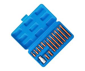 Set di 15 punte di sicurezza magnetiche antimanomissione in acciaio S2 | Punte driver di sicurezza per trasmissioni motore telaio faro interno auto moto Trim