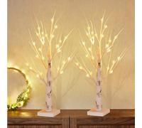 Set di 2 Albero di Betulla con Luci LED, 60cm/2ft LED Luci Albero Decorativo per Interni con 24 LEDs Bianco Caldo, Batteria/USB Artificiale LED Albero di Betulla per Natale Festa Pasqua Nozze Decor