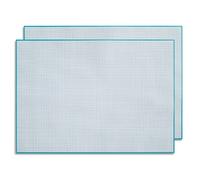 Set di 2 blocchi di carta millimetrata per scrittura e schizzi I a strappo I Carta matematica I Ufficio e scuola I DIN A2 I grande I Blu I Offset 90 g/m² 40 fogli I dv1201