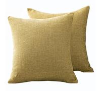 Set di 2 Copri Cuscini Divano 50x70 Copricuscino 70x70 60x80 Con Cerniera,Federe Moderne Per Camera Da Letto Divano Decorativo Lino Elegante Lavabile Copricuscini(Light green,70x70 cm 2pcs)