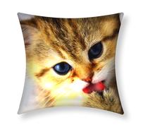 Set di 2 copricuscini 40x40 cm con disegno di gattino