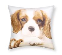 Set di 2 copricuscini 40x40 cm Design Cane King Charles