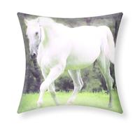 Set di 2 copricuscini 40x40 cm Design Cavallo