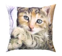 Set di 2 copricuscini 40x40 cm Design gattino sdraiato
