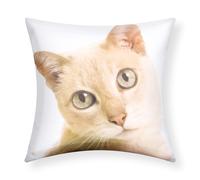 Set di 2 copricuscini 40x40 cm Design Gatto
