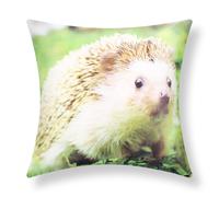 Set di 2 copricuscini 40x40 cm Hedgehog Garden Design