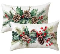 Set di 2 Cuscini per Divano piante Velluto 40x80 Copri Cuscini per Divano, frutta Copricuscini 40x80 2 Pezzi Copri Cuscino Letto, Federa Cuscino, Copricuscino Rettangolari, Decorazioni Casa k-925
