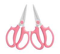 Set di 2 da potatura, set di 2 da giardinaggio, per fiori recisi, da potatura, per composizioni floreali, per fiori - per potare rami e foglie, giar