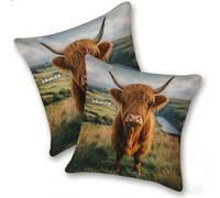 Set di 2 Federe Cuscino 40x40cm Velluto, Esterno Cuscini Impermeabili Decorative per Divano Soggiorno Camera da Letto Giardino Balcone, Moderni Cerniera Invisibile, Prato Bovino Altissimo, D-220