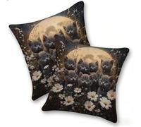 Set di 2 Federe Cuscino 40x40cm Velluto, Esterno Cuscini Impermeabili Decorative per Divano Soggiorno Camera da Letto Giardino Balcone, Moderni Cerniera Invisibile, Gatto Chrysanthemum, D-552