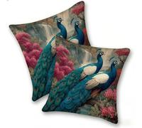 Set di 2 Federe Cuscino 40x40cm Velluto, Esterno Cuscini Impermeabili Decorative per Divano Soggiorno Camera da Letto Giardino Balcone, Casa Moderni Minimalisti Cerniera Invisibile, Pavo Blu, D-477