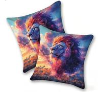 Set di 2 Federe Cuscino 45x45cm Velluto, Esterno Cuscini Impermeabili Decorative per Divano Soggiorno Camera da Letto Giardino Balcone, Casa Moderni Minimalisti Cerniera Invisibile, Leone Zebra, D-807