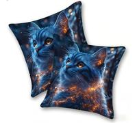 Set di 2 Federe Cuscino 50x50cm Velluto, Esterno Cuscini Impermeabili Decorative per Divano Soggiorno Camera da Letto Giardino Balcone, Casa Moderni Minimalisti Cerniera Invisibile, Gatto Blu, D-480