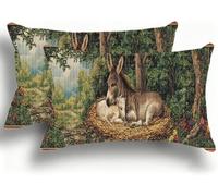Set di 2 Federe Cuscino Letto, Decorativi Cuscini per Divano Fattoria Lino Federa Cuscino 25x50,Rettangolare Cuscini per Divano, Cerniera Nascosta, Soggiorno, Esterno, Decorazione Asino1 W0VJ-785