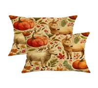 Set di 2 federe decorative per cuscini autunnali con animali della fattoria, rustiche, arancione zucca e asino, accoglienti decorazioni per la casa a tema autunnale per divano 50 x 30 cm