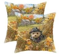 Set di 2 federe per cuscini a tema autunnale, rustiche con cucciolo di cane, decorazione autunnale per casa, divano, letto, divano, perfetto per il Ringraziamento, 40,6 x 40,6 cm