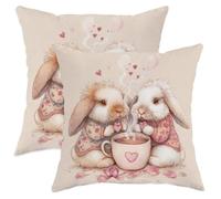 Set di 2 federe per cuscini con coniglietto, fantasiosi cuori e tazza di San Valentino, color pesca pastello, in morbido velluto, lavabili, per soggiorno, camera da letto, loft, ufficio, auto
