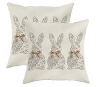 Set di 2 federe per cuscini con coniglio, motivo primaverile rustico floreale con fiocco primaverile, beige, in morbido velluto, lavabile, per soggiorno, camera da letto, loft, ufficio, auto
