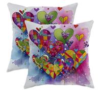 Set di 2 federe per cuscini con cuori, fantasiosi fiori colorati, vortici di San Valentino, in morbido velluto, lavabile, decorative, per casa, camera da letto, soggiorno, divano, decorazione, 61 x 61