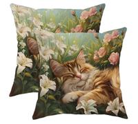 Set di 2 federe per cuscini con gatto che dorme in primavera, per casa, divano, letto, stile rustico, scelta perfetta per gli amanti dei gatti, 40,6 x 40,6 cm