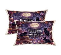 Set di 2 federe per cuscini con gatto, fantasiosi libri gotici, luna piena, Halloween, in morbido velluto, lavabile, per soggiorno, camera da letto, loft, ufficio, auto, decorazione 50 x 30 cm