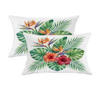 Set di 2 federe per cuscini con ibisco, uccello tropicale del paradiso, foglie di Monstera, verde estivo, in morbido velluto, lavabile, decorative, per soggiorno, letto, ufficio, divano, 50 x 30 cm