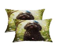 Set di 2 federe per cuscini con motivo cane d'acqua portoghese primaverile, 30 x 51 cm, morbide e comode, in velluto, decorazione per la casa, per divano, soggiorno, letto