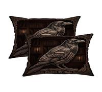 Set di 2 federe per cuscini con motivo corvo, gotico vintage, con candele per libreria, Halloween, in morbido velluto nero, lavabili, per casa, soggiorno, camera da letto, dormitorio, divano