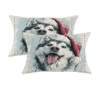 Set di 2 federe per cuscini con motivo husky, cappello di Babbo Natale con sfondo blu, in morbido velluto bianco, lavabili, per casa, soggiorno, camera da letto, dormitorio, divano, decorazione 50 x