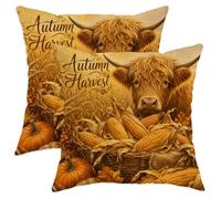 Set di 2 federe per cuscini con mucca delle Highland, autunnali, rustiche, zucca, mais, marrone autunnale, in morbido velluto, lavabile, decorative, per soggiorno, letto, ufficio, divano, sedia, 30,5